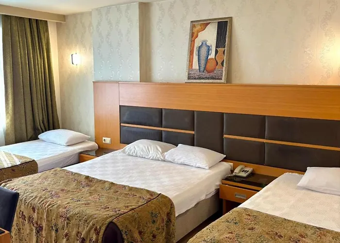 Pinar Elite 호텔 3*